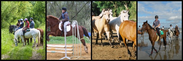 stage équitation, poney, cheval, centre équestre