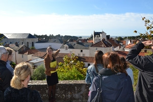 Guided tours