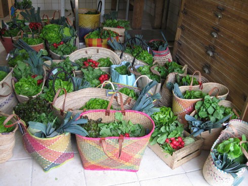 Marchés à la ferme, BIO