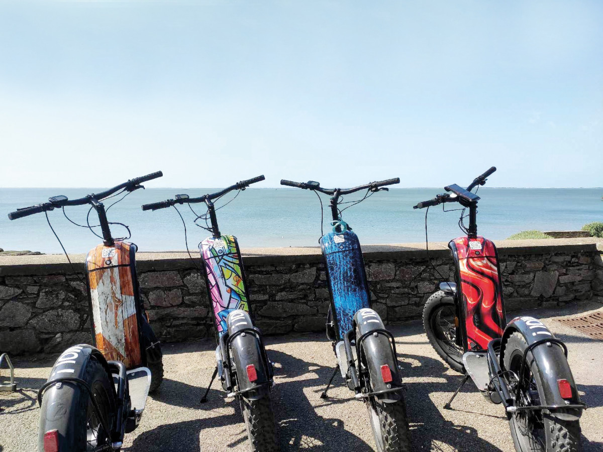Location de trottinettes &eacute;lectriques