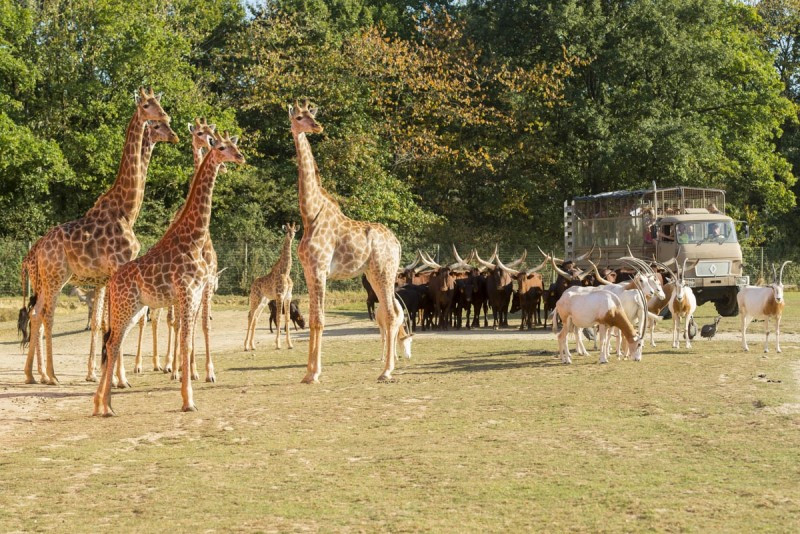 Eintrittskarten f&uuml;r Tierparks