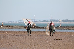 Was man vom Fischen wissen sollte