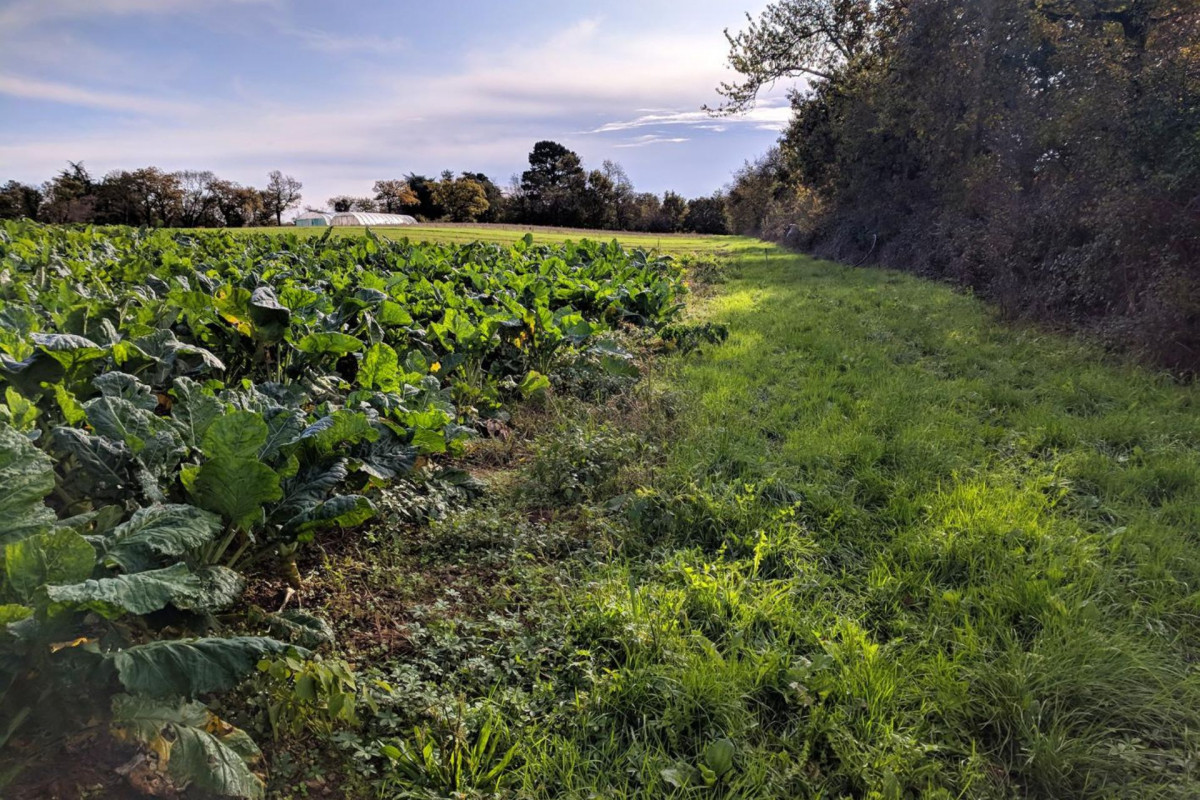 Tiers-lieu à la ferme