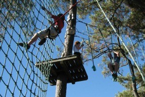 Parcours dans les arbres