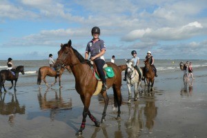 Horse riding