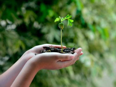 Towards sustainable tourism