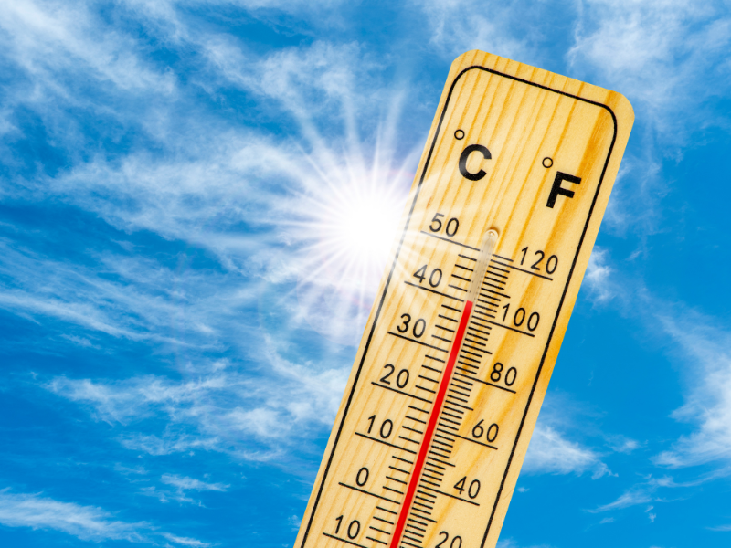 activité sortie il fait chaud destination pornic