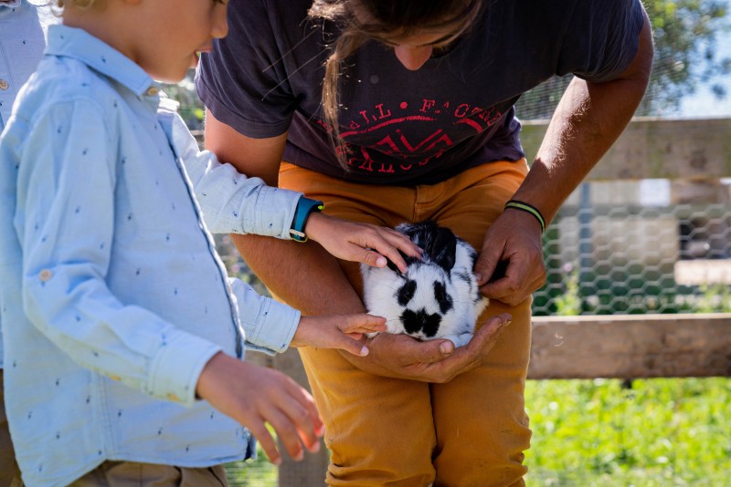 Visites à la ferme