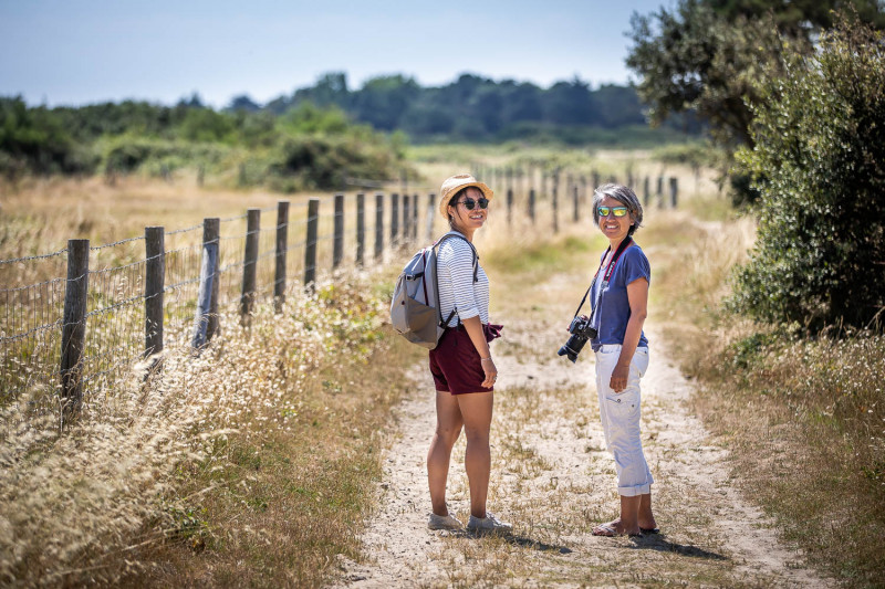 Our stories of walks and hikes