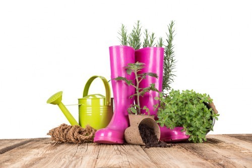 Jardinerie