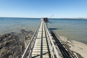 Pêche au carrelet