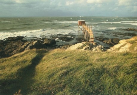 Carte postale 5