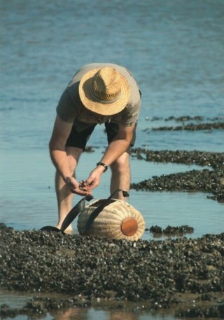 Carte postale 7