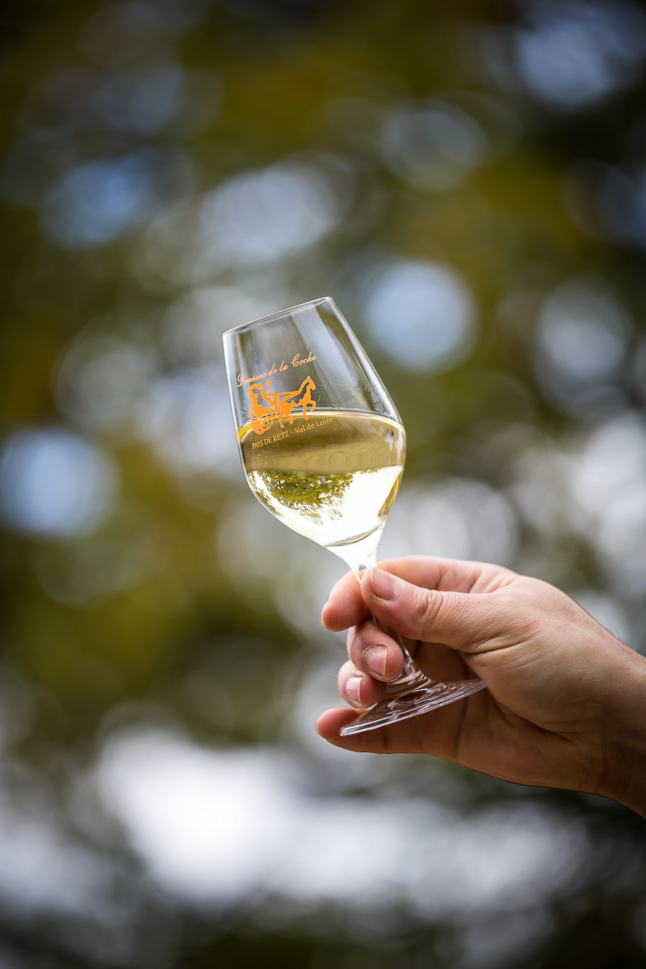 Dégustation au Domaine de la Coche, Sainte Pazanne