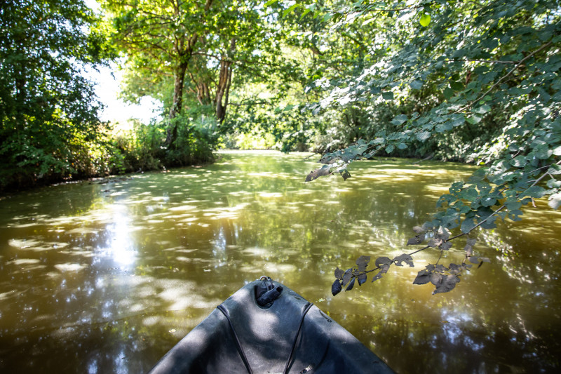 Paysage au canal de Haute-Perche à Pornic