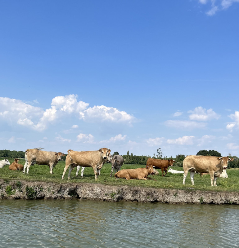 Les rives du Tenu 