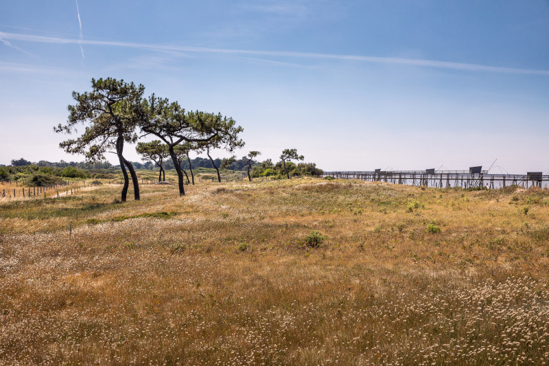 #itinerairebis, destination pornic, les moutiers, les moutiers en retz, marais lyarne, baie bourgneuf, kayak, paddle, ocean atlantique, port collet,