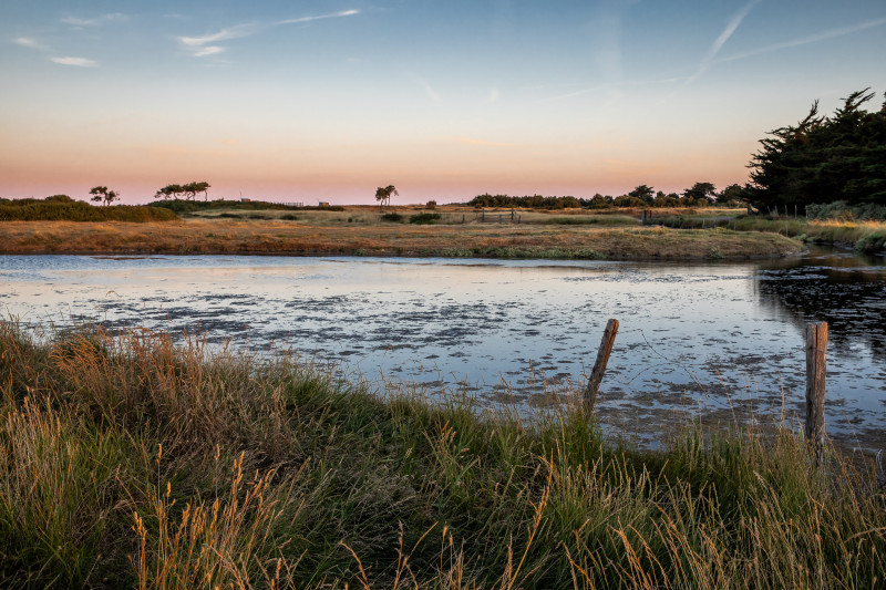 Itinerairebis aux Moutiers - marais de Lyarne