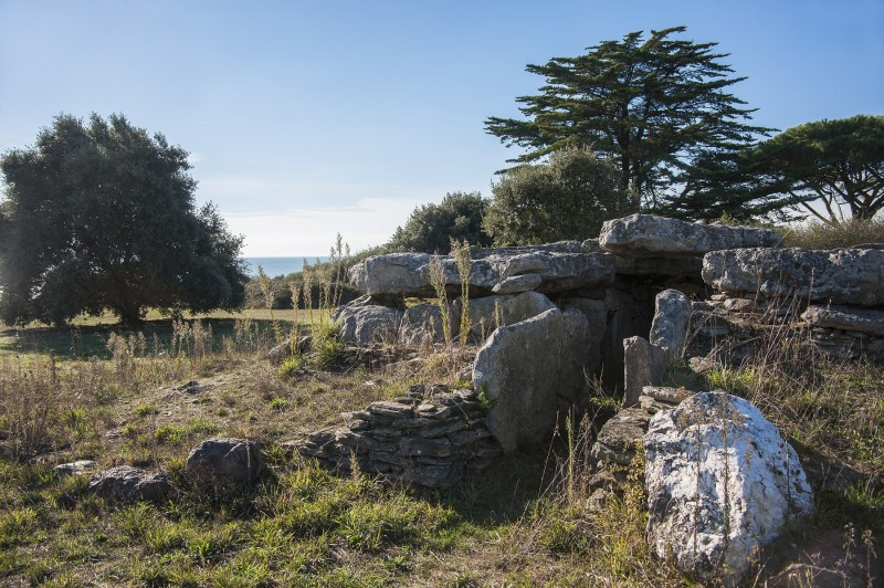 #itinerairebis, destination Pornic, chauvé, pornic, mégalithes, dolmen, tumulus, mousseaux, joselière, prédaire, platennes, chevanou, lematz