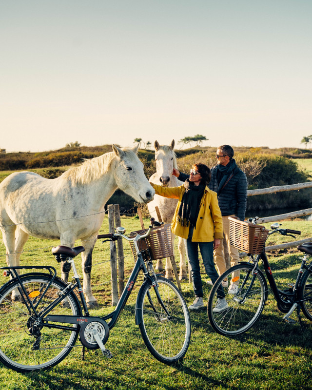 balade vélo marais de Lyarne Les Moutiers en Retz