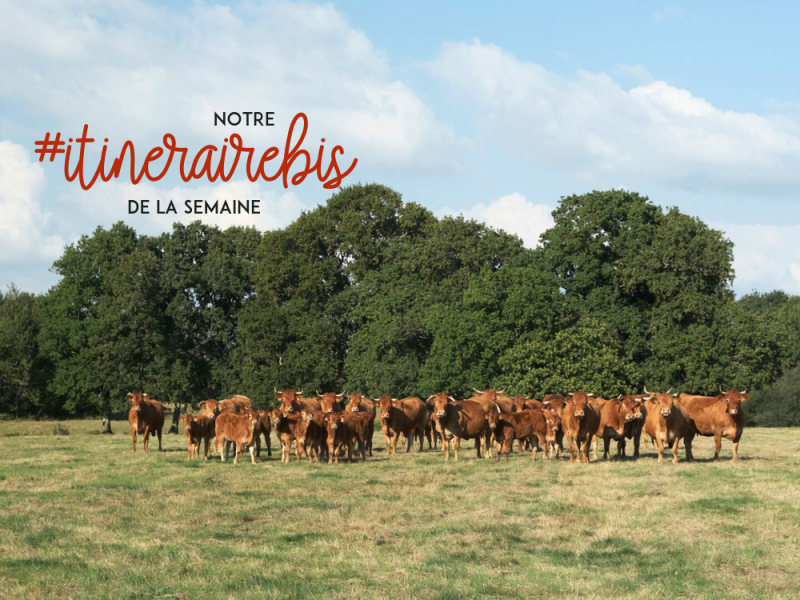 Les fermes pédagogiques autour de Pornic 