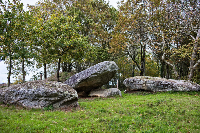 Menhirs des Platennes à Chauvé