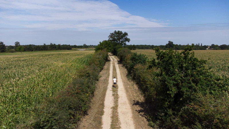 balade, balade pédestre, balade nature, randonnée, randonnée pédestre, circuit pédestre, balade à Rouans, randonnée à Rouans, vignes, acheneau, la blanche, cinéma