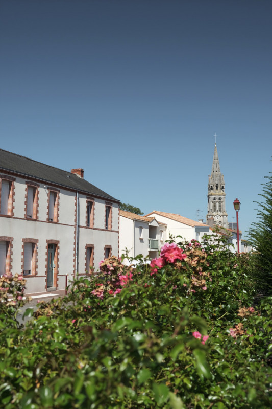 balade, balade pédestre, balade nature, randonnée, randonnée pédestre, circuit pédestre, balade à port saint père, randonnée à port saint père, vignes, planète sauvage