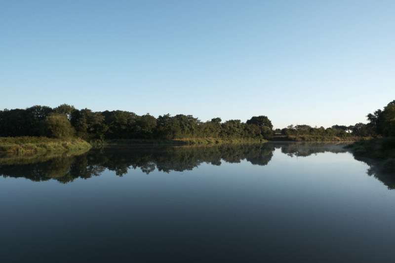 Etang de la Beusse at Sainte-Pazanne