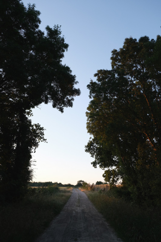 balade, balade pédestre, balade vélo, balade nature, balade à cheval, randonnée, randonnée pédestre, randonnée vélo, circuit pédestre, circuit vélo, circuit à cheval, balade à chauvé,  randonnée chauvé