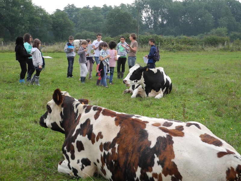 Ferme de la Puillière, Port-Saint-Père, visite à la ferme, bienvenue à la ferme