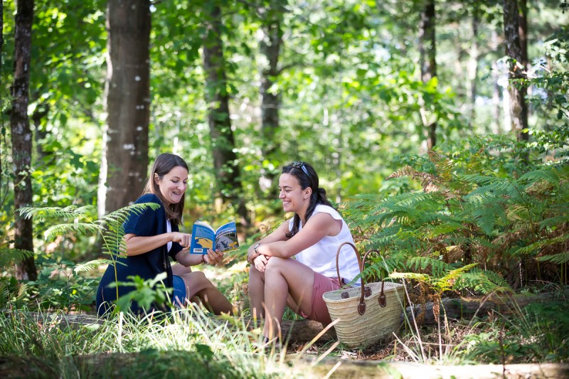 forêt de princé, forêt, chéméré, chaumes en retz, balade en forêt