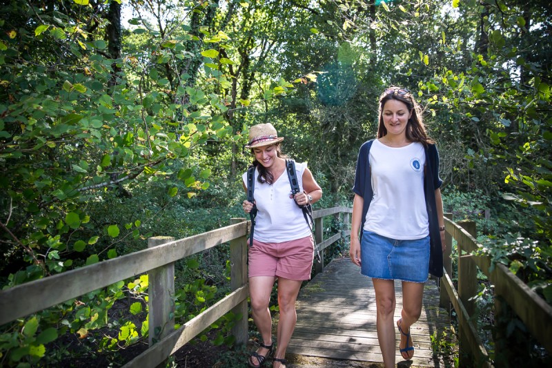 iles enchantées, chéméré, chaumes en retz, balade en forêt