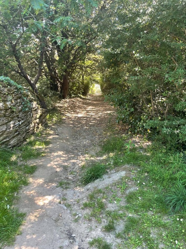 La Fontaine aux Moutons