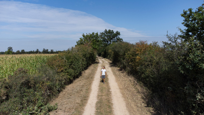 balade, balade pédestre, balade nature, randonnée, randonnée pédestre, circuit pédestre, balade à Rouans, randonnée à Rouans, vignes, acheneau, la blanche, cinéma