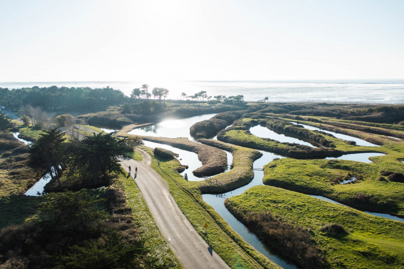 Marais de Lyarne balade vélo automne Les Moutiers en Retz