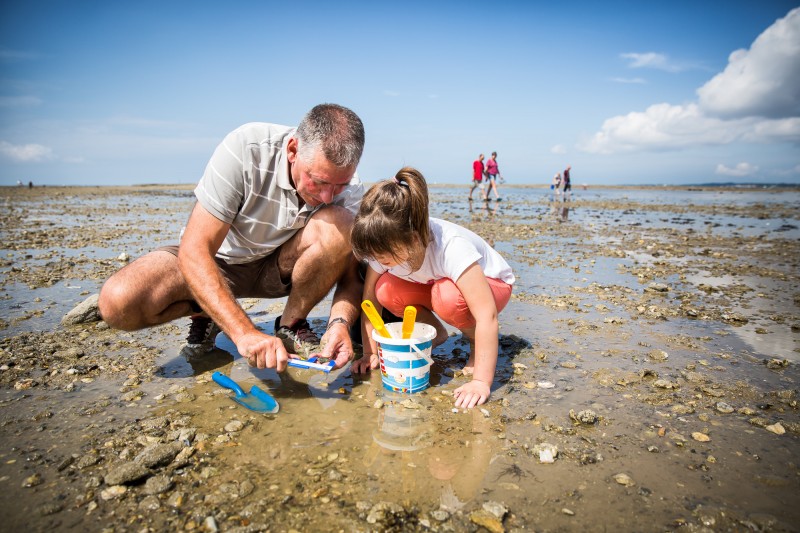 pêche à pied, marée basse, pêche aux palourdes, pêche à pied à La bernerie en Retz, pêche à pied à la Bernerie