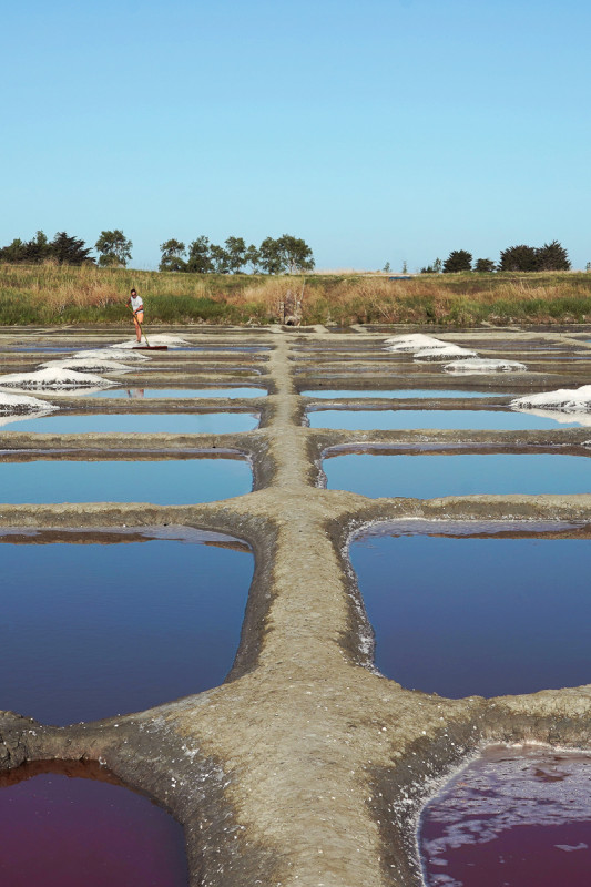 Les salines de Millac - Villeneuve, Les Moutiers