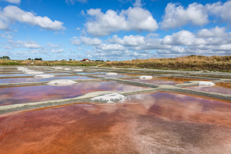 Les salines de millac des moutiers-en-retz