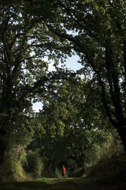  balade pédestre, balade vélo, balade nature, randonnée, randonnée pédestre, ranadonnée vélo, circuit pédestre, circuit vélo, balade à arthon, balade à la sicaudais, balade à chaumes, randonnée à arthon, randonnée à la sicaudais, randonnée chaumes