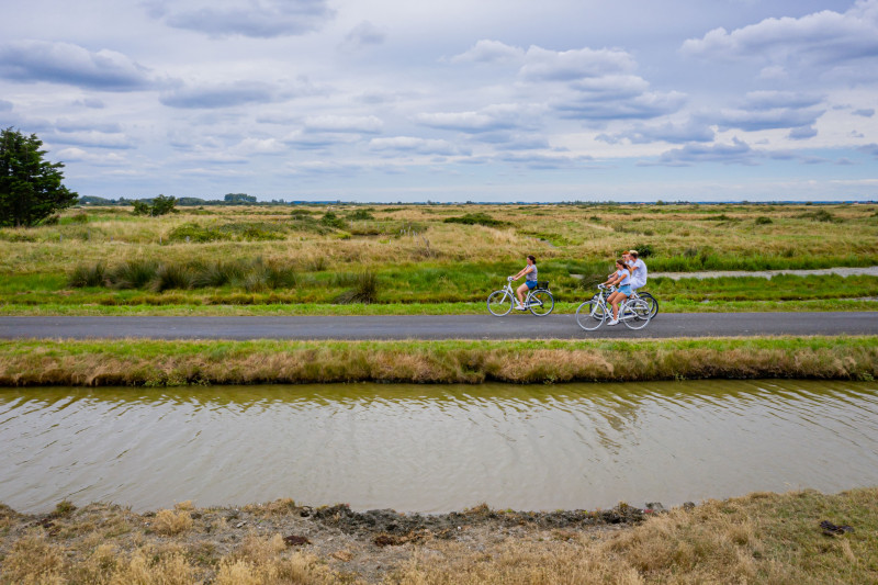 Villeneuve bourgneuf marshlands Breton Vendée