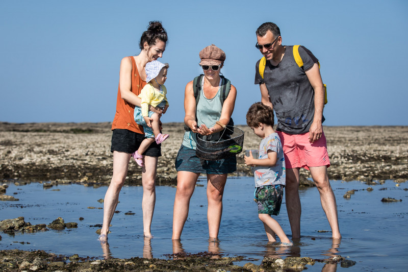 Visite pêche à pied La Plaine sur Mer, pêche à pied Pornic, pêche à pied Loire-Atlantique, visite guidée pêche à pied