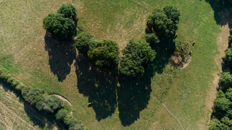 Vue aérienne du parcours d'Arthon à la Sicaudais