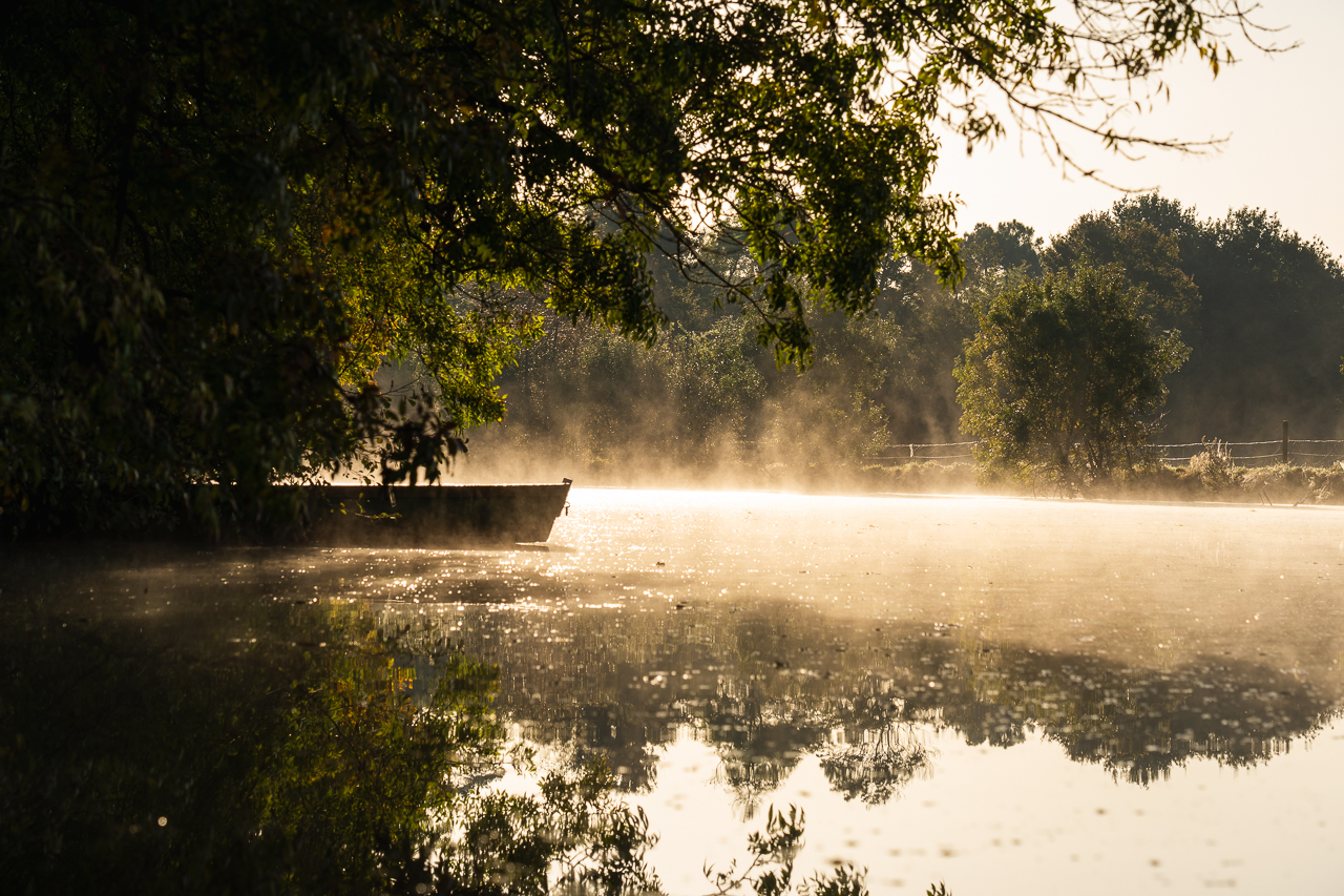  - &copy; Ypov Agency