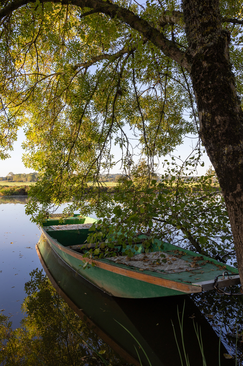  - &copy; Ypov Agency