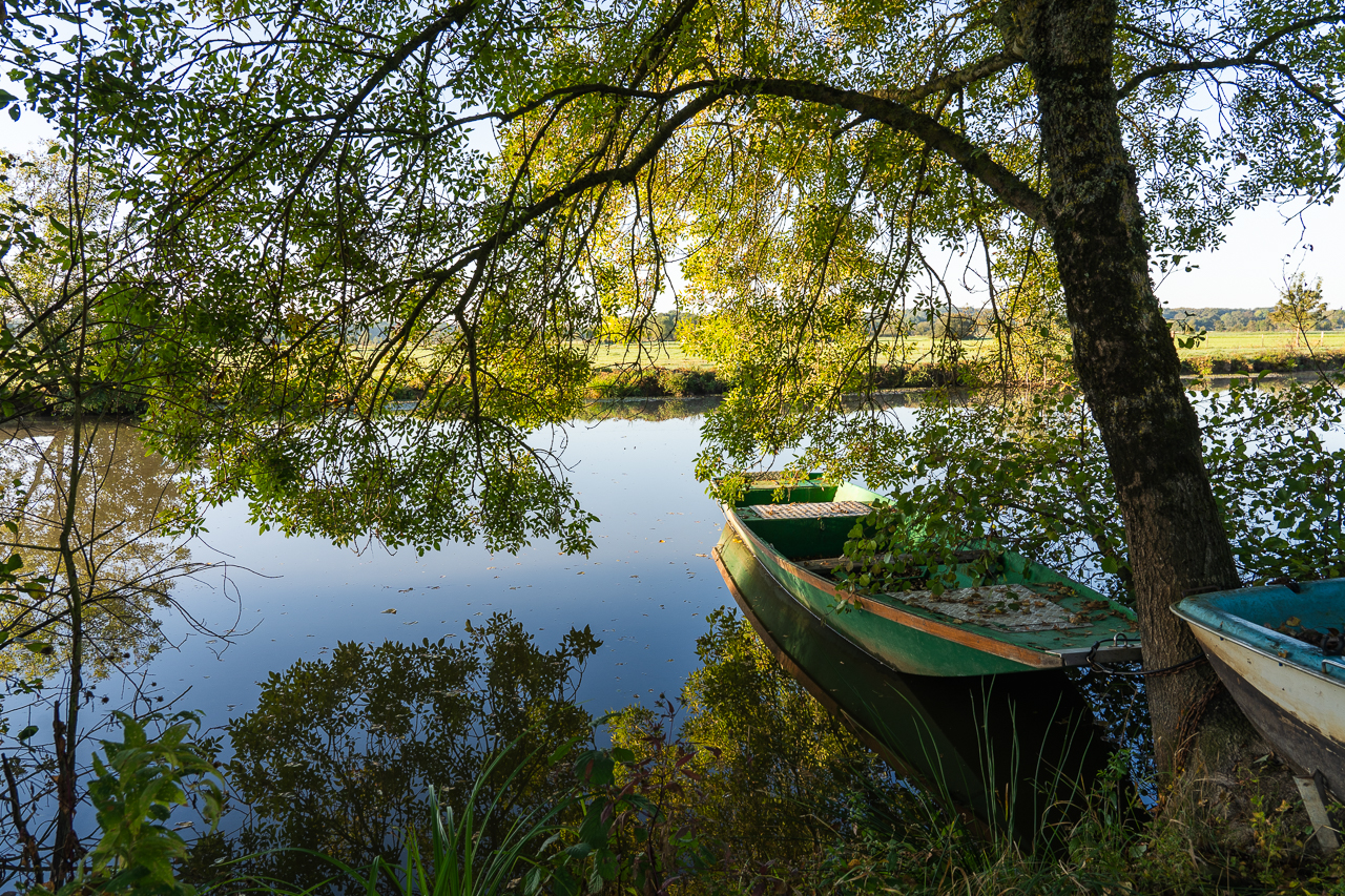  - &copy; Ypov Agency