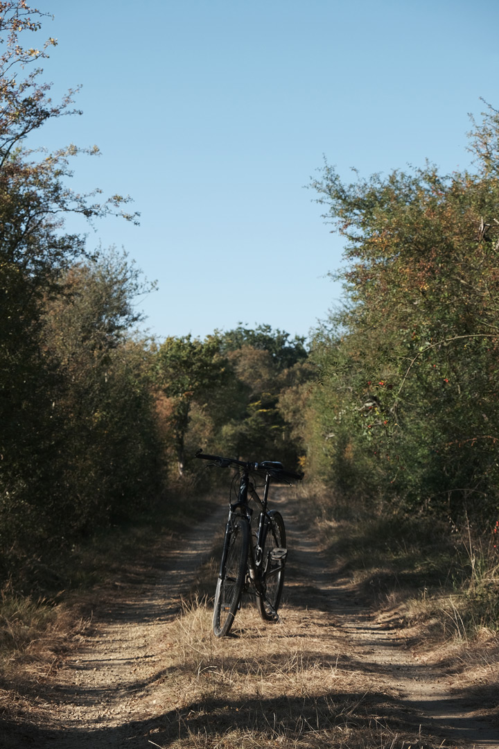  - &copy; Damien Dufour