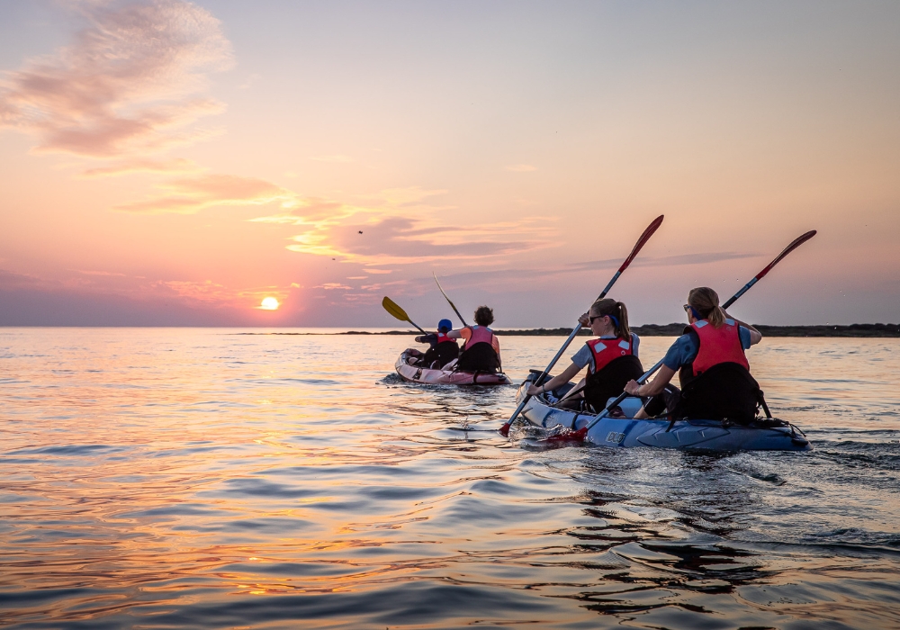  - &copy; Mélanie Chaigneau