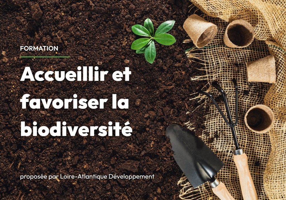 Formation Accueillir la biodiversité automne 2026 Pornic écodomaine écologie - &copy; Chet_W pour Getty Images