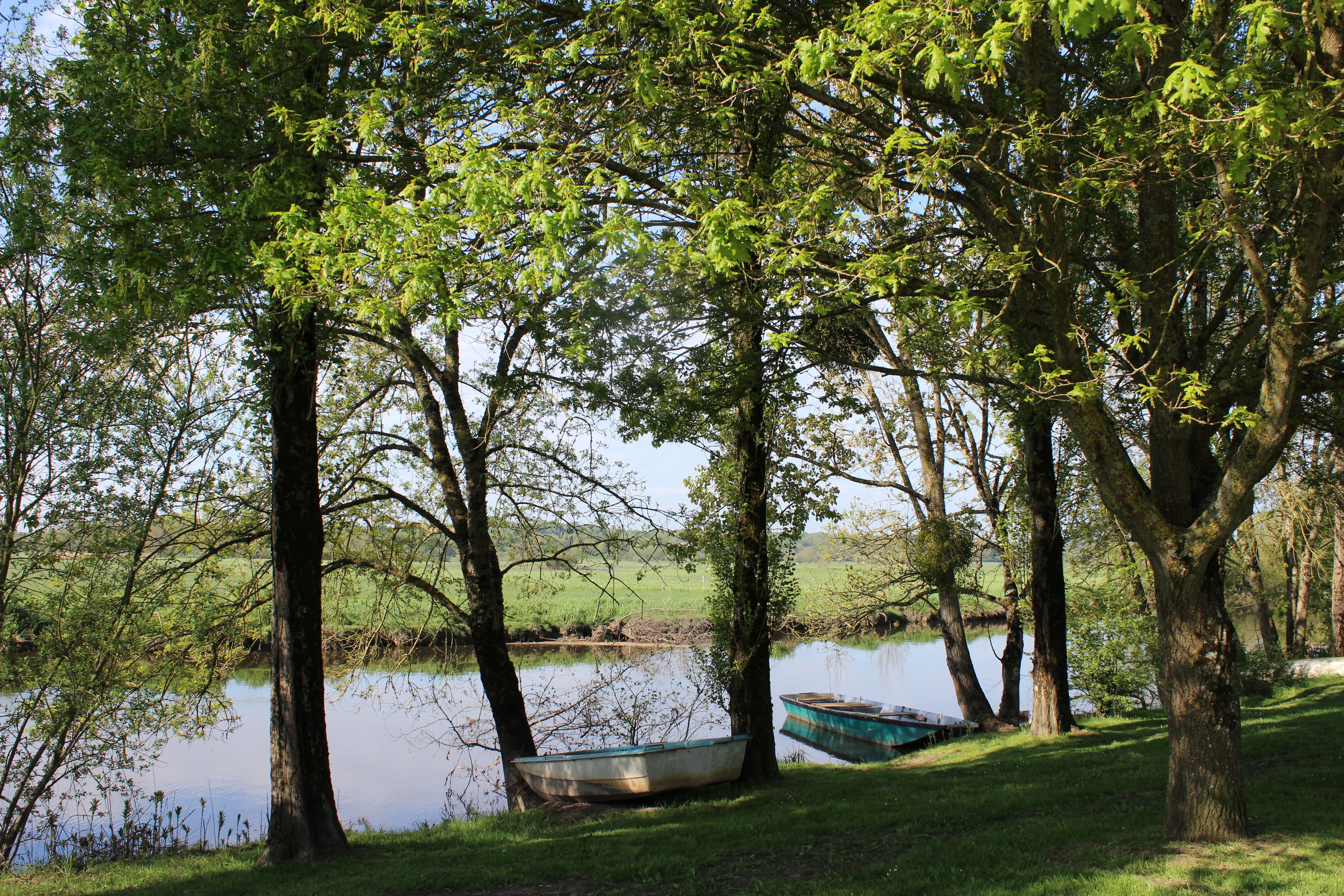  - &copy; Alexa Mabon